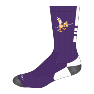 SBE Spirit Socks