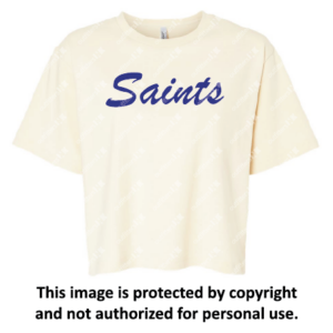 St. Louis Boxy Tee