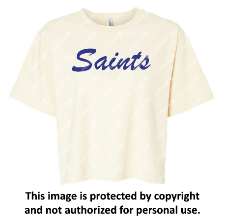 St. Louis Boxy Tee