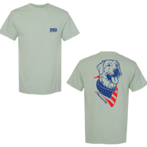 America 250 Dog Shirt (Bay)