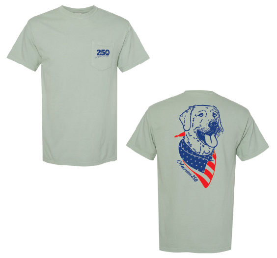 America 250 Dog Shirt (Bay)